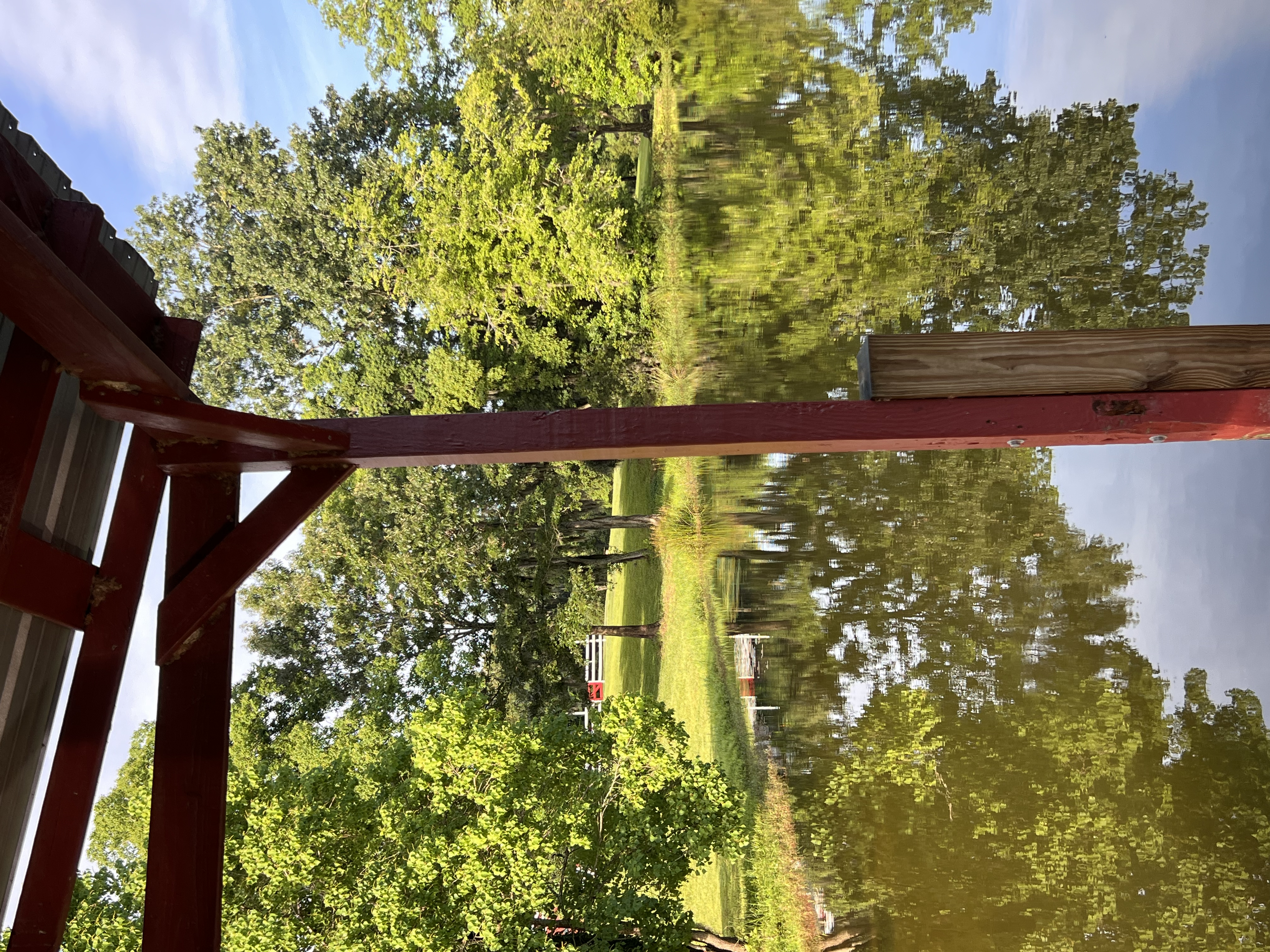 ./2025/06 - Savannah/IMG_0968.jpg